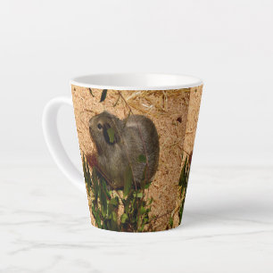 Caneca De Café Latte Suíno Castanho Suave,