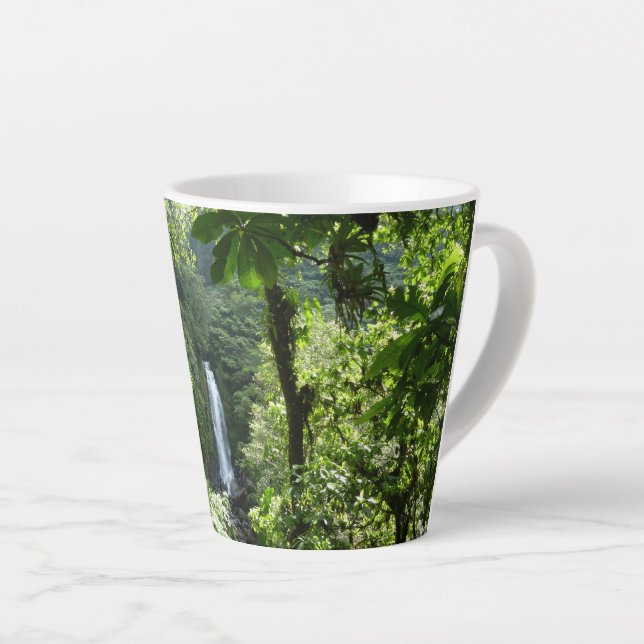 Caneca De Café Latte Traffic Falls Tropical RainForest Fotografia (Ângulo direito)