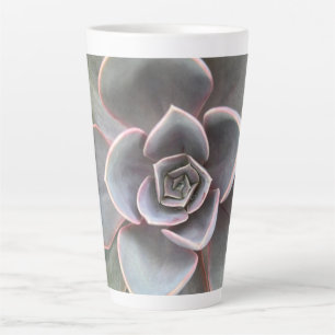 Caneca De Café Latte Verde Echeveria Fechar