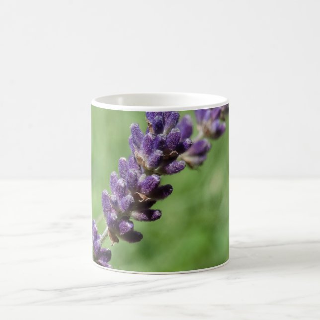 Caneca De Café Lavanda Stalk Photo Mug (Centro)
