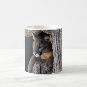 Caneca De Café Leão-da-montanha em caverna