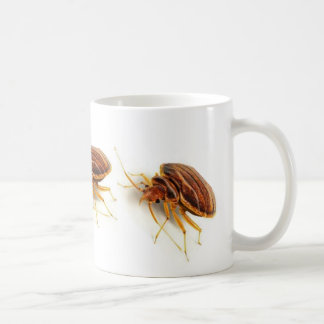Caneca de café - lectularius do Cimex (inseto de