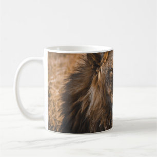 CANECA DE CAFÉ LIÃO NO PARQUE NACIONAL DE ETOSHA