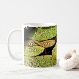 Caneca De Café Lily Pads Mug
