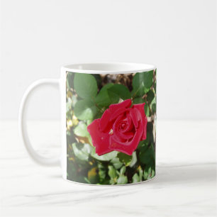 Caneca De Café Linda Coffee Flower Mug