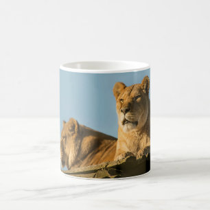 Caneca De Café Lioneiras