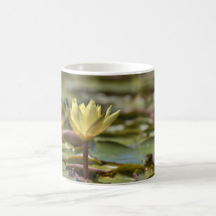 Caneca de Café Lírio de Água Tranquilo – Fotografi