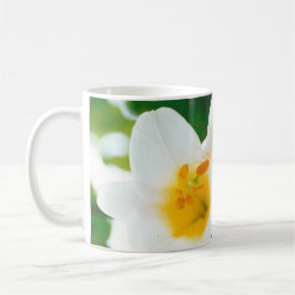 Caneca De Café Lírios brancos - Lily Flower Lilium candidata
