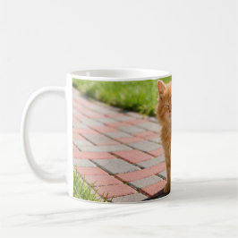 Caneca De Café Little cute  orange cat 