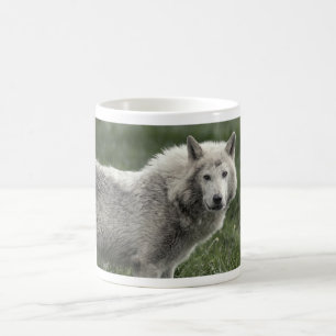 Caneca De Café Lobo-da-madeira