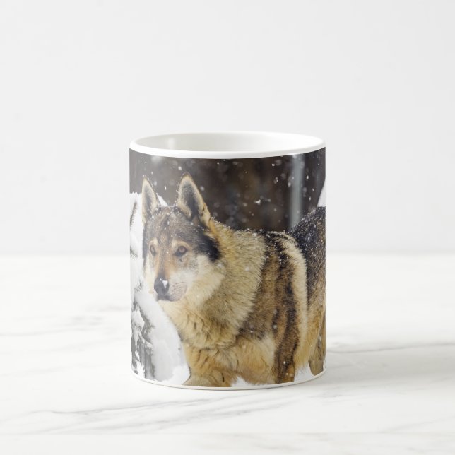 Caneca De Café Lobo selvagem das Cinzas na neve Coffee Mug (Centro)