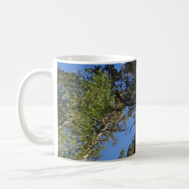 Caneca De Café Looking Up at Mariposa Grove (Esquerda)
