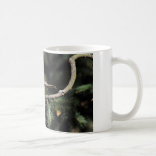 Caneca De Café Lophophanes cristatus