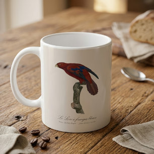 Caneca De Café Lório-de-cauda-vermelha, Trichoglossus borneus