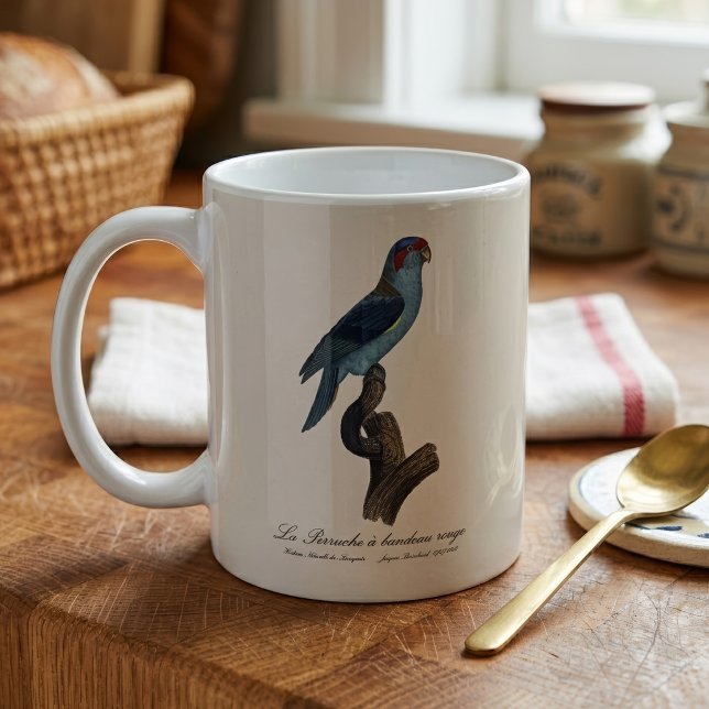 Caneca De Café Loriqueito-azul, Trichoglossus concinnus (Musk Lorikeet, Trichoglossus Concinnus. Coffee Mug)