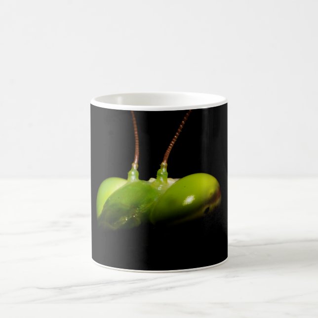 Caneca De Café Louva-a-deus (Centro)