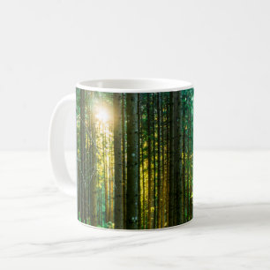 Caneca De Café Luz do Sol Através de Árvores Florestais
