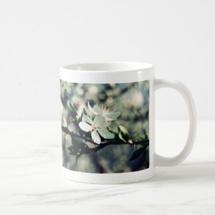 Caneca De Café Maçã floresce primavera