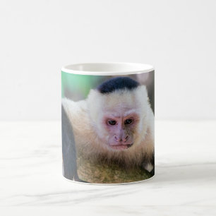 Caneca De Café Macaco-prego-branco