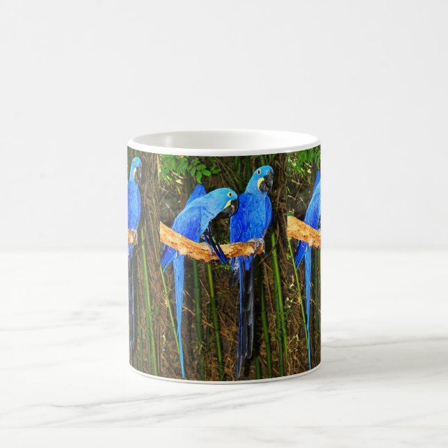 Caneca De Café Macaws do jacinto (Centro)