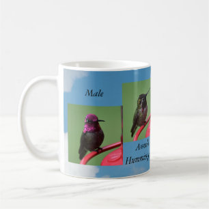 Caneca De Café Macho Ann'a Hummingbird Mug