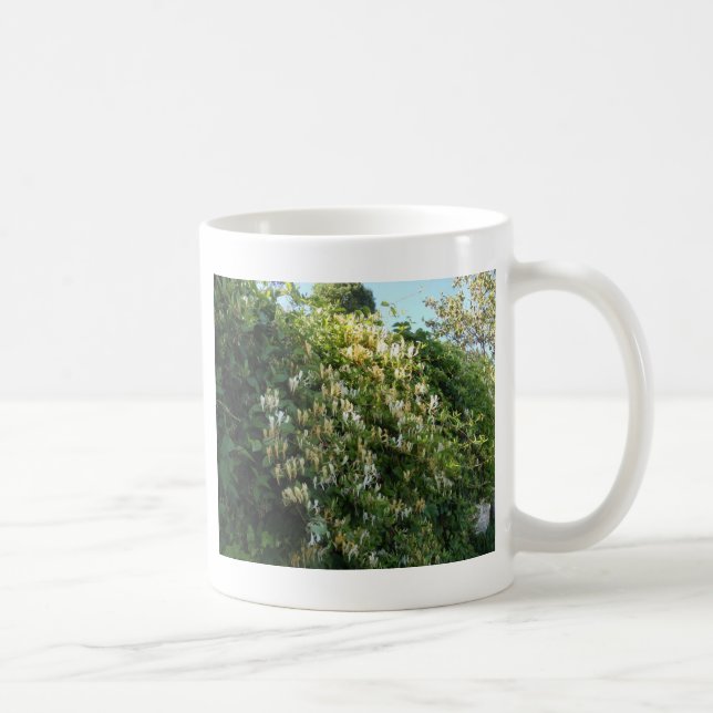Caneca De Café Madressilva Numa Parede (Direita)