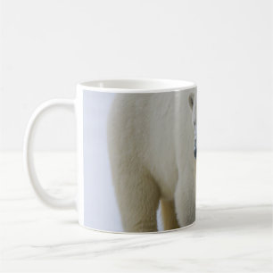 CANECA DE CAFÉ MÃE DE URSO POLAR E NORTE DE CUB ALASKA
