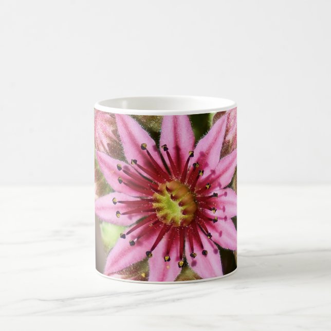 Caneca De Café Mag de café com flor rosa (Centro)