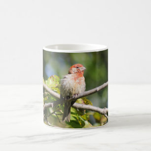 Caneca De Café Mágica-fina-caseira