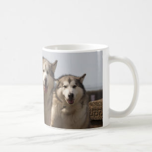 Caneca De Café Malamutes do Alasca