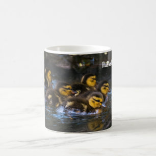 Caneca De Café Mallard Duck