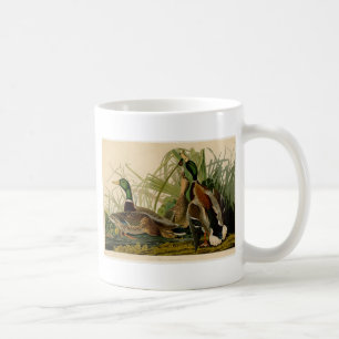 Caneca De Café Mallard Duck - Pincel de Ave Audubon