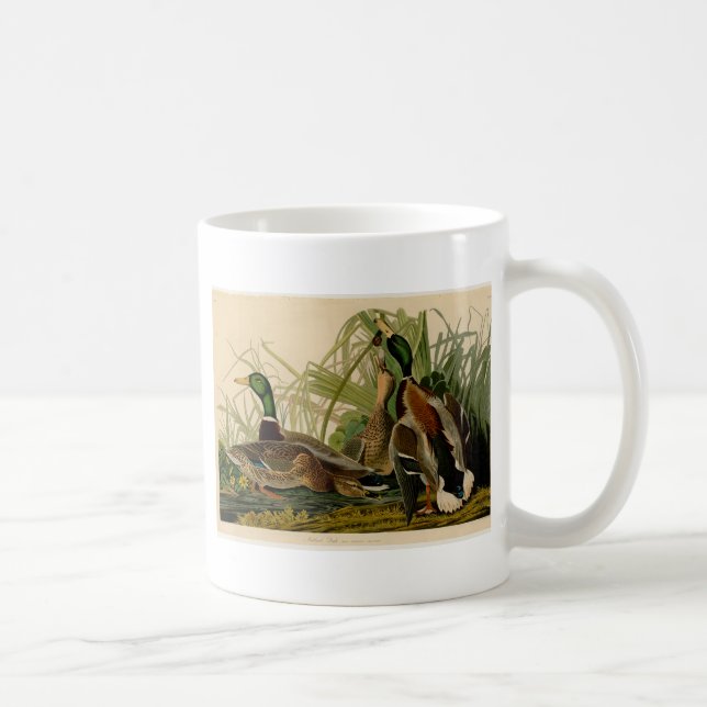 Caneca De Café Mallard Duck - Pincel de Ave Audubon (Direita)