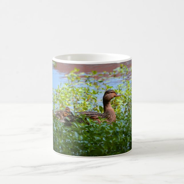 Caneca De Café Mallard e Ducklings por Shirley Taylor (Centro)