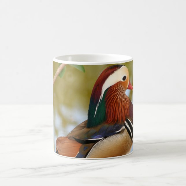 Caneca De Café Mandarin Duck (Centro)