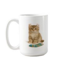 Mande-o para mim - American Curl Kitten Edition