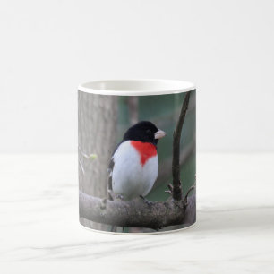 Caneca De Café Manga de Grosbeak de Break