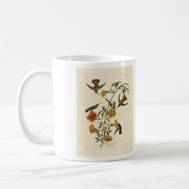 Caneca De Café Mango Hummingbird das Aves da América de Audubon (Esquerda)