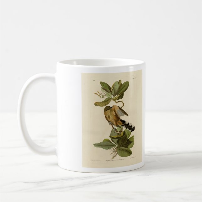 Caneca De Café Mangrove Cuckoo das Aves da América de Audubon (Esquerda)