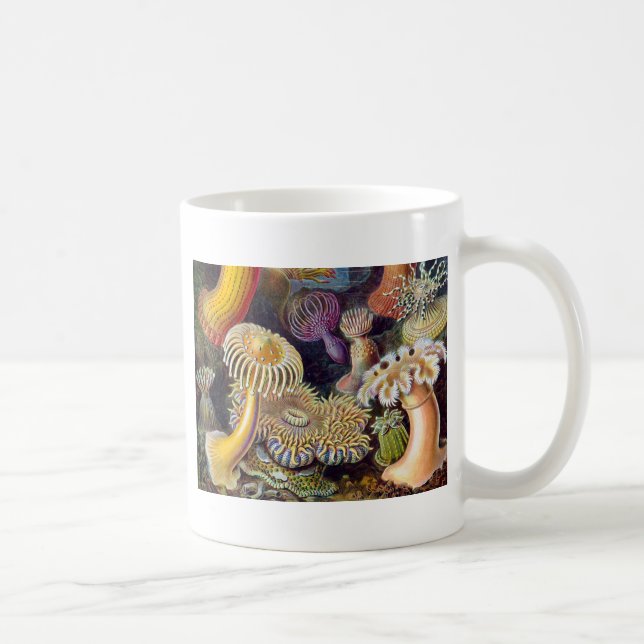 Caneca De Café Mar Anêmona Natureza Científica Oceânica (Direita)