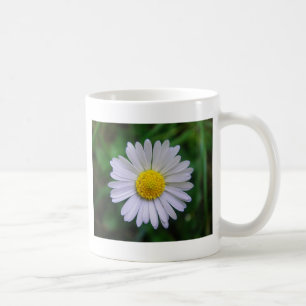 Caneca De Café Margarida amarela-branca brilhante
