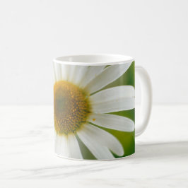 Caneca De Café Margarida Branca de Oxeye - Leucanthemum vulgare