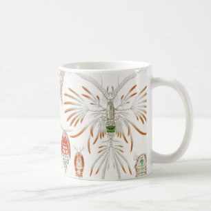 Caneca De Café Marine Life Crustaceans, Copepoda por Ernst Haecke