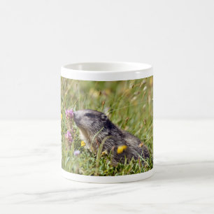 Caneca De Café Marmota alpina perto da flor