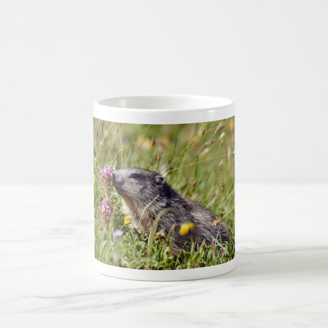 Caneca De Café Marmota alpina perto da flor (Centro)