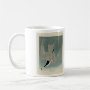 Caneca De Café Marsh (Gull-Billed) Tern, Aves de Audubon da Améri
