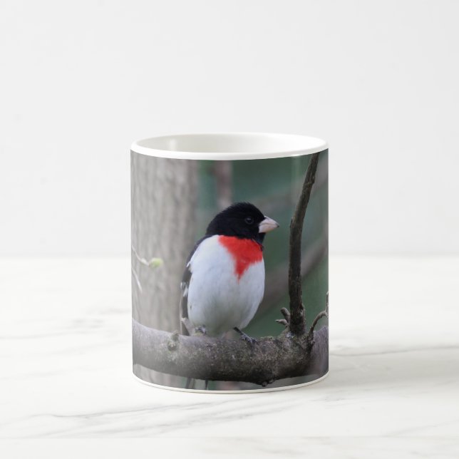 Caneca De Café Mata de Grosbeak de Breado Vermelho (Centro)
