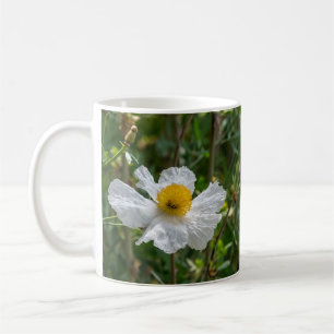 Caneca De Café Matilija Poppy Mug