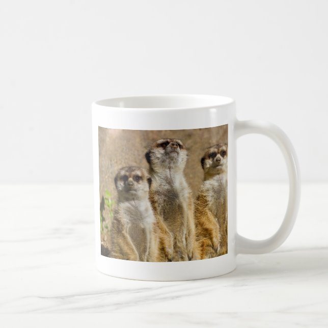 Caneca De Café Meerkats (Direita)