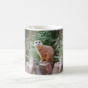 Caneca De Café Meerkats
